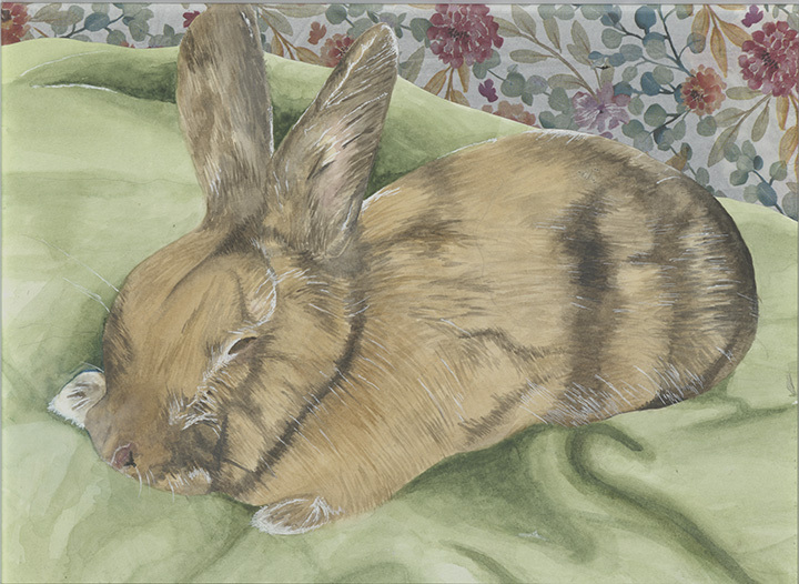 Mixed media of watercolor, watercolor paper, floral paper napkin (background), and gel pen image of a brown bunny sleeping on a blanket