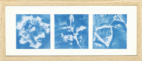 Three prints, in blue and white, of mold growth