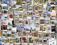 Collage-like assortment of photographs with frames that make the images appear to be Instagram posts
