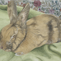 Mixed media of watercolor, watercolor paper, floral paper napkin (background), and gel pen image of a brown bunny sleeping on a blanket